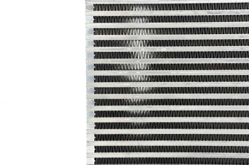 csf_8040-6793112daf13d