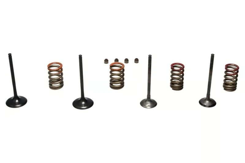 S&S Cycle 11-16 KX250F Steel Valve Set