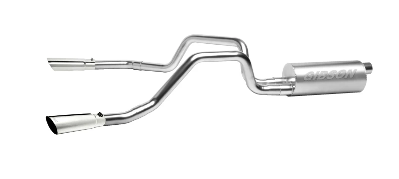 Gibson 05-08 Ford F-150 King Ranch 5.4L 2,5 Zoll Kat-Back Dual Split Auspuff - Edelstahl