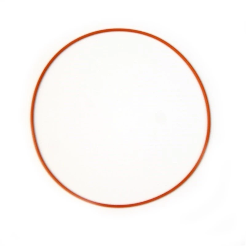 Nitrous Express Ersatzdichtung für oberen Plenum-Spacer