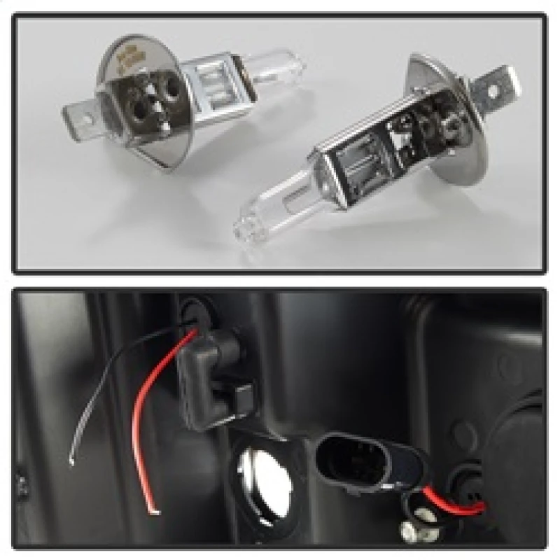 spyder_5083524-6794c9cb0345c