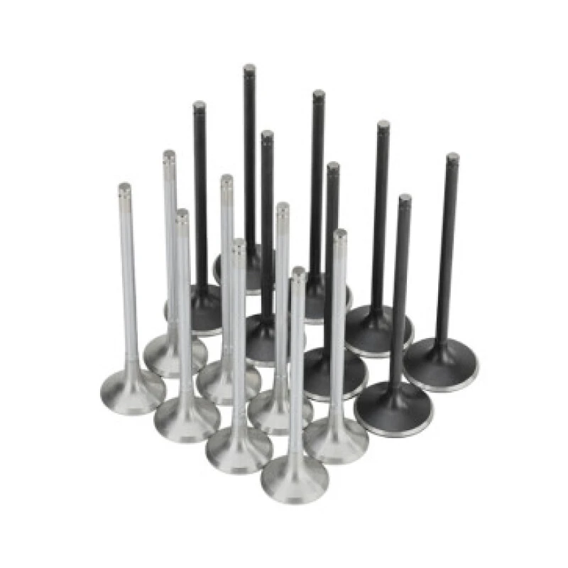 Skunk2 Alpha Series Intake & Exhaust Valve Set for Honda K20C1