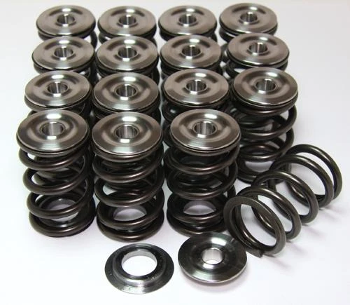 GSC P-D 12+ Single Spring Kit für Subaru BRZ / Scion FR-S