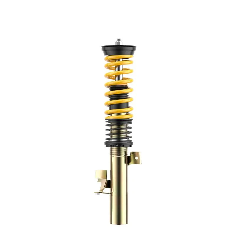 ST X-Height Adjustable Coilovers 2013 Ford Focus ST