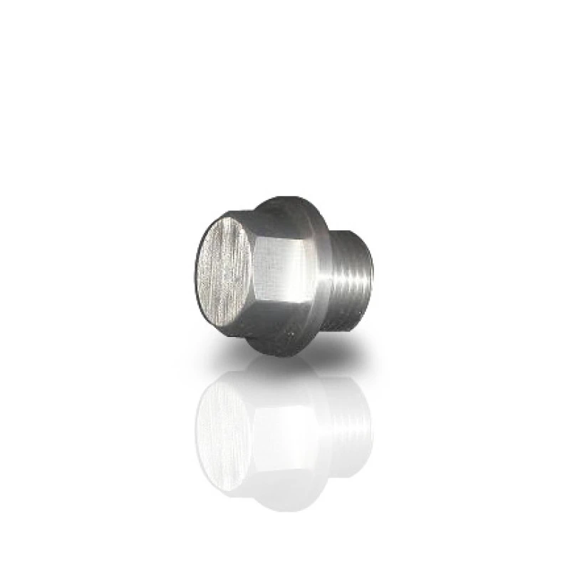 Stainless Works O2 Bung Stecker