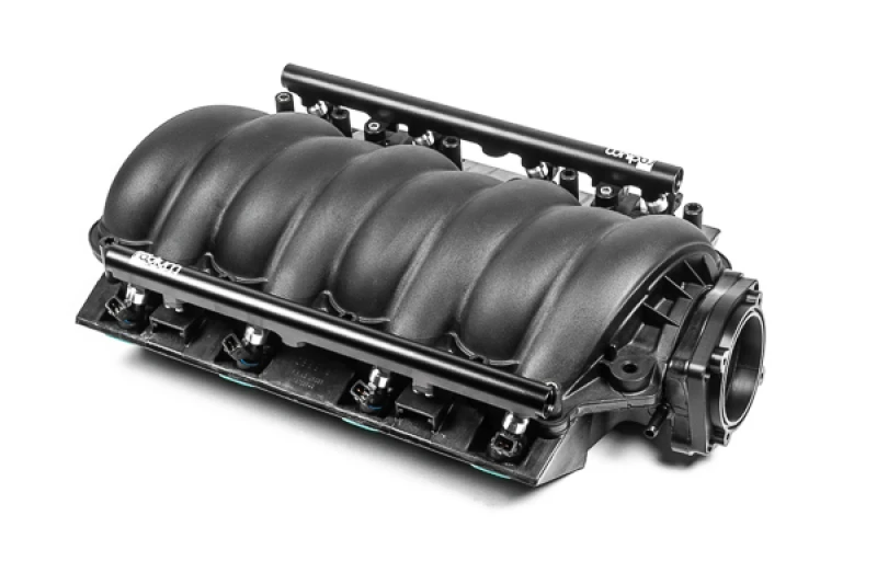 Radium Engineering GM LS Motor Kraftstoffschienen