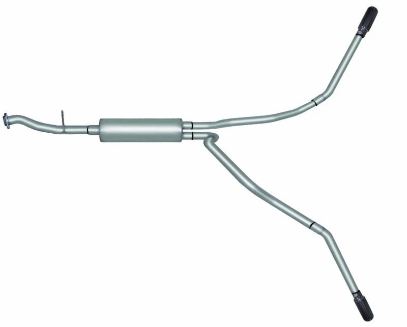 Gibson 99-01 Chevrolet Silverado 1500 Basis 4.3L 2.5in Cat-Back Dual Extreme Auspuff - Edelstahl