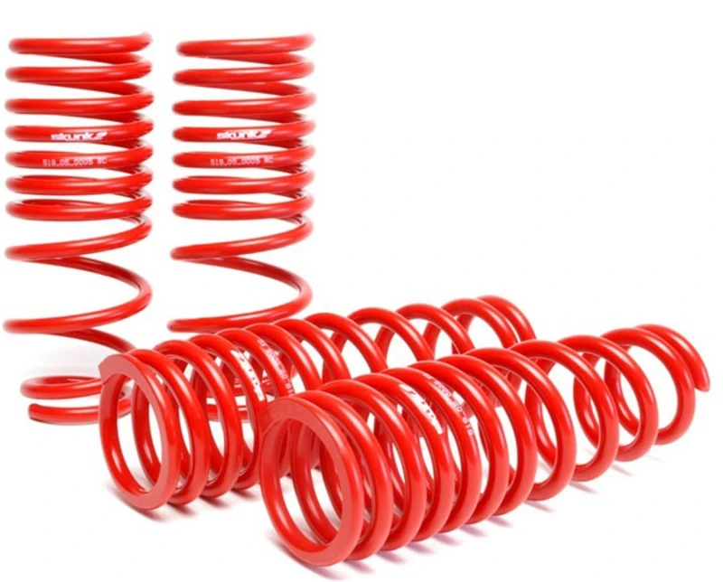 Skunk2 94-01 Acura Integra Tieferlegungsfedern (2,50 Zoll - 2,25 Zoll) (Satz von 4)
