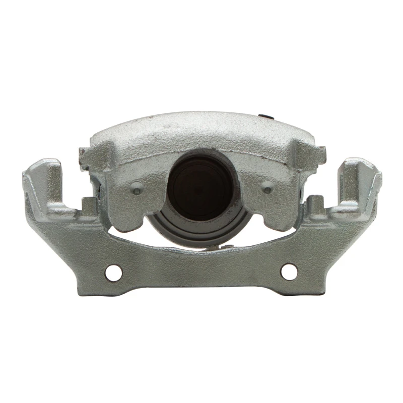 DFC 95-97 Jaguar XJ12 Rear-R Premium Caliper - Silver Zinc Coated