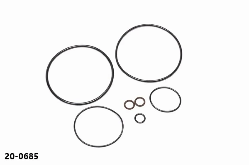 Radium Engineering AOS-R O-Ring-Service-Kit