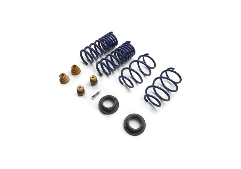 Ford Racing Street Lowering Spring Kit for 15-24 Mustang