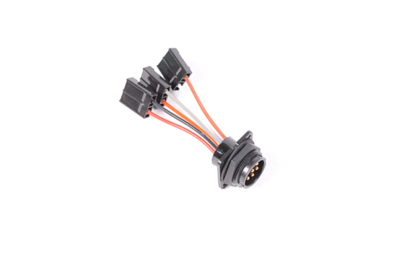 Radium Engineering Bulkead-Harnisch interner dreifacher Walbro GSS342-Pumpe