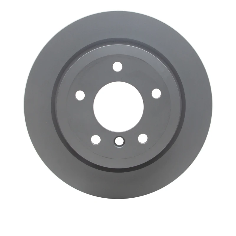 DFC 09-16 BMW Z4 Rear GeoSPEC Coated Rotor