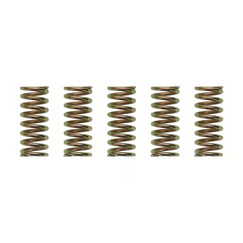 Wiseco XR400/TRX250/ATC250R Clutch Spring Kit