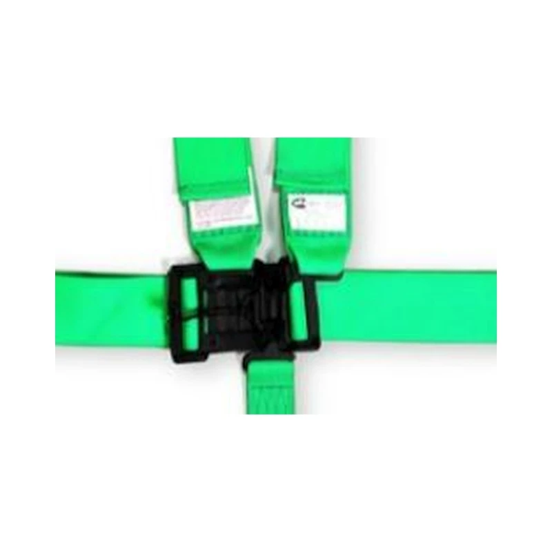 RaceQuip Grünes L & L 5-Punkt-Sicherheitsgurt