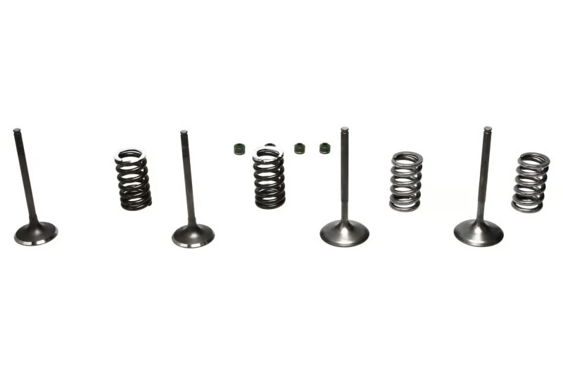 Wiseco 02-06 CRF450R Steel Valve Set