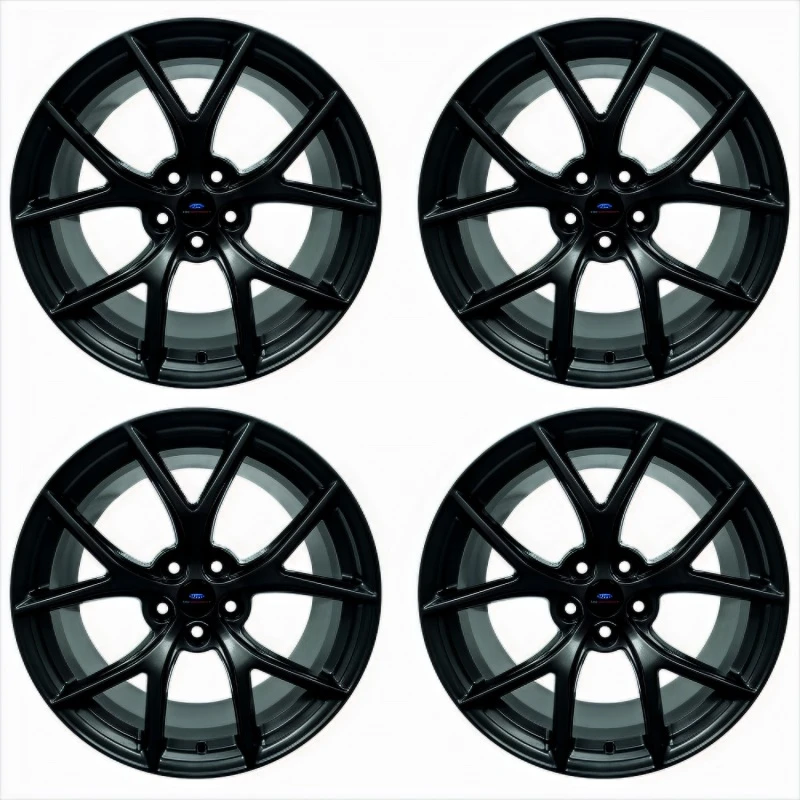 Ford Racing 15-20 Mustang19x9,5 Zoll & 19x10 Zoll Rad-Kit mit TPMS - Matt Schwarz