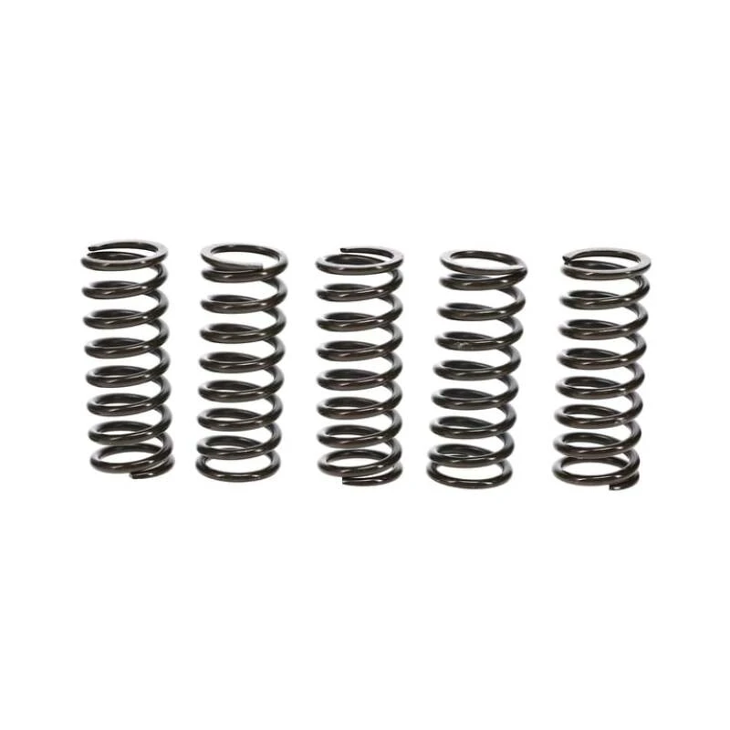 Wiseco Kupplungsfeder-Kit Honda TRX400EX/X99-14 Kupplungskorb