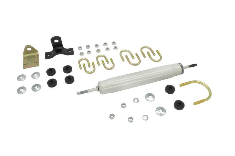 KYB Stoßdämpfer & Struts Lenkstabilisatoren vorne DODGE Raider (4WD) 1987-88 DODGE Van (2WD) 1964-70 FO