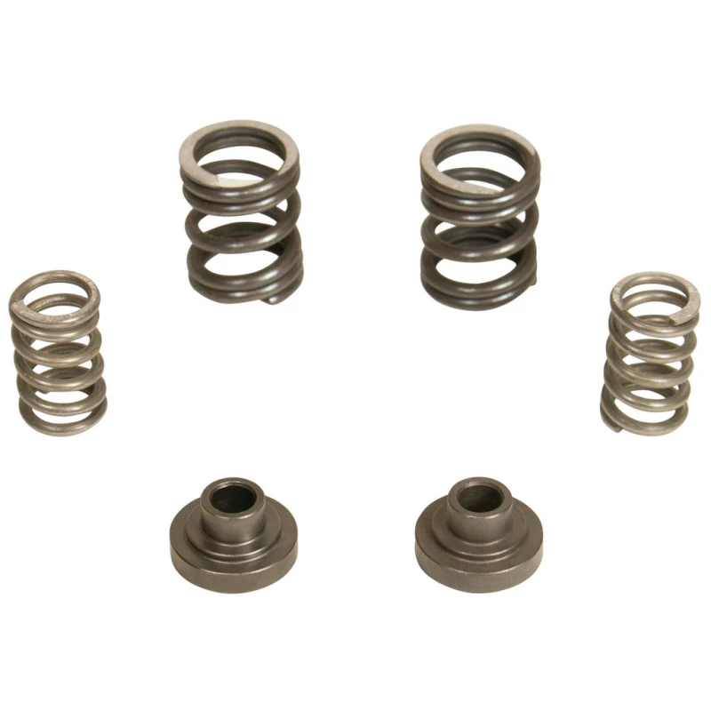 BD Diesel Governor Spring Kit für 1994–1998 Dodge 5.9L Cummins 12-Valve