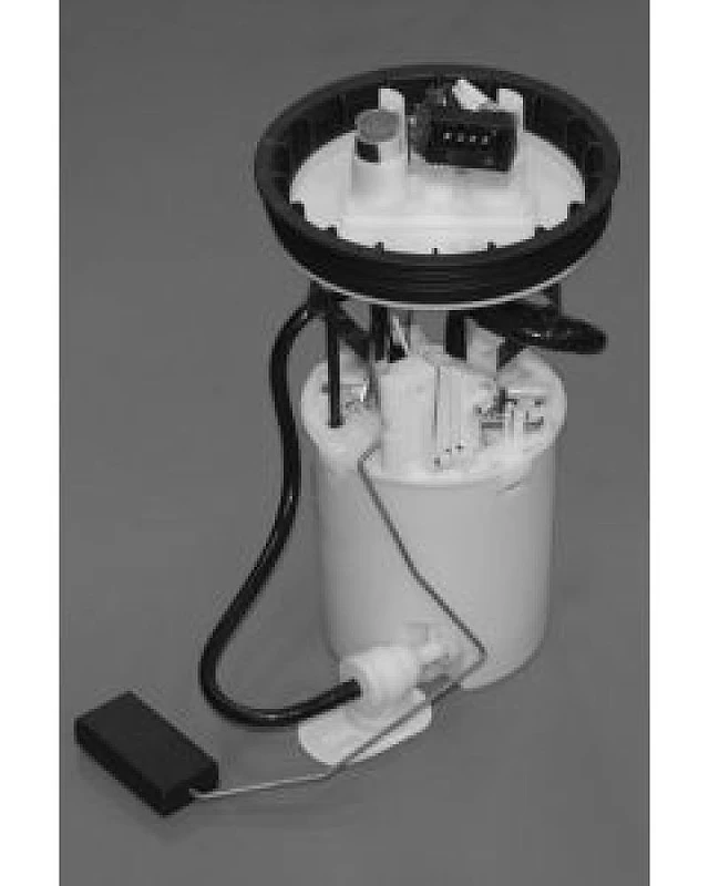 Walbro Tank-Einheit-Montage (Mindestbestellmenge 40 Stück)