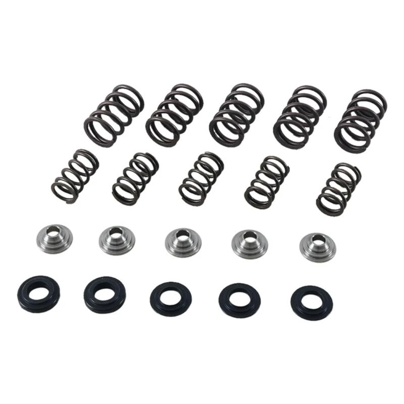 Hot Cams Valve Spring Kit for Yamaha YFM 660 R Raptor