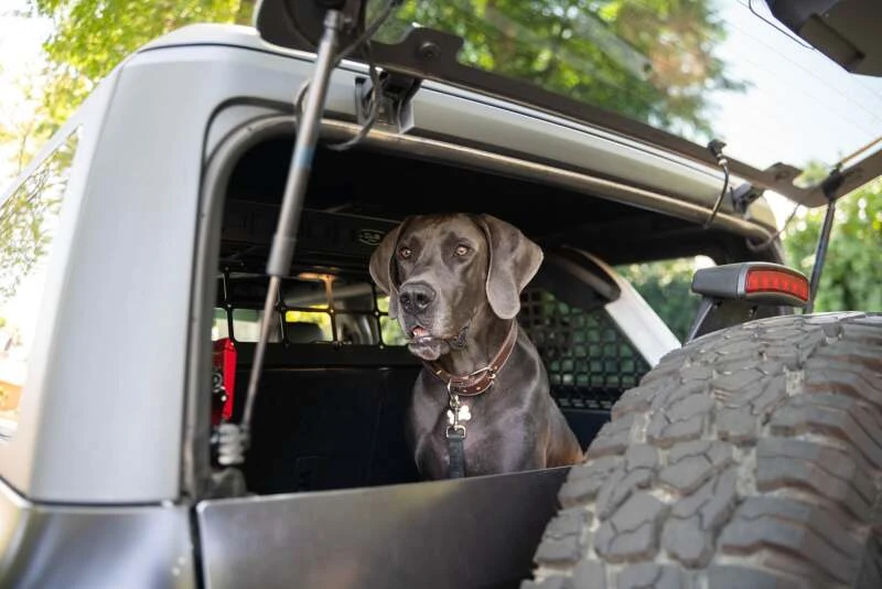 DV8 Offroad 2021-2024 Ford Bronco Dog Barrier