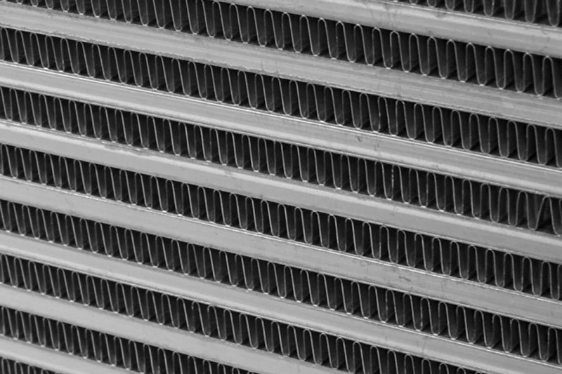 csf_8040-682ec8abcb3c4