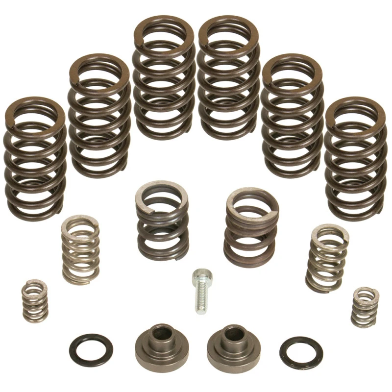 BD Diesel Governor Spring Kit 4000rpm für 1994–1998 Dodge 12-valve/P7100 Pump