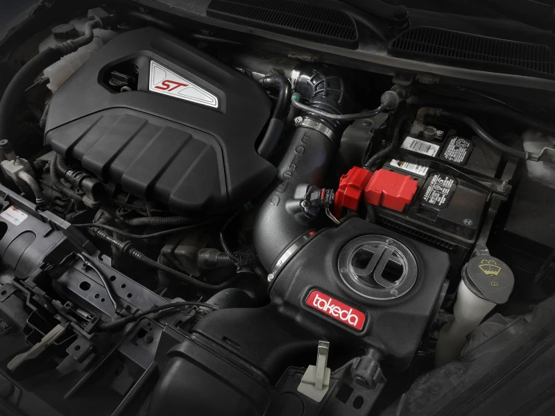 aFe POWER Momentum GT Pro Dry S Ansaugsystem 14-15 Ford Fiesta ST L4-1.6L (t)