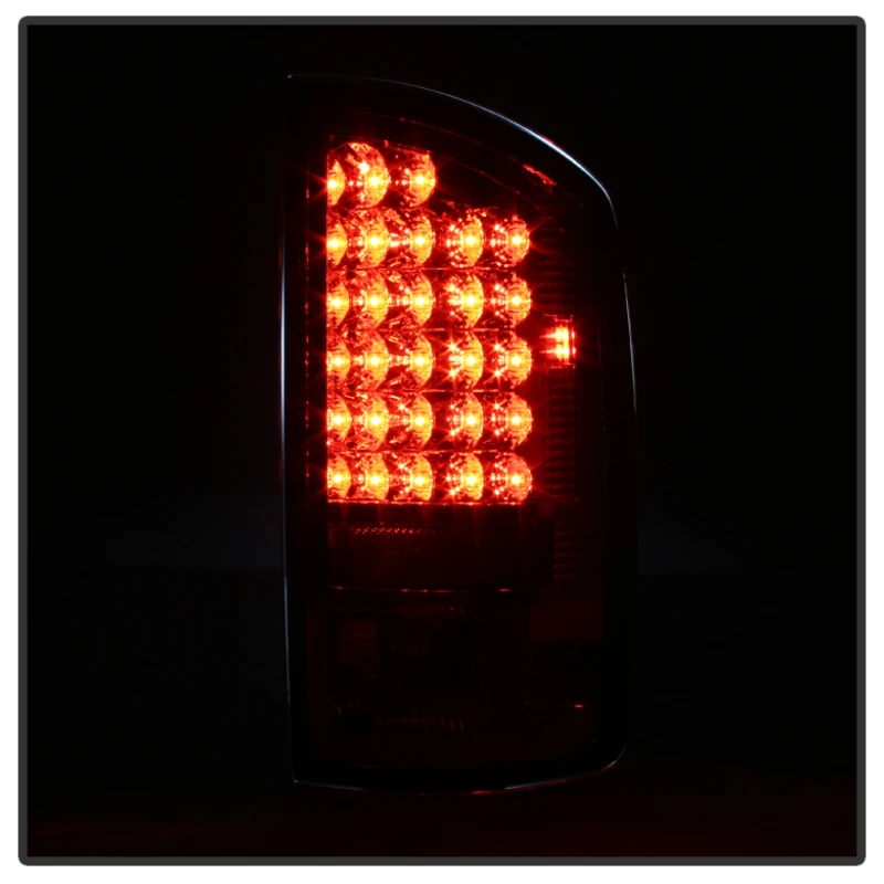 spyder_5002563-6794c6a378ff9