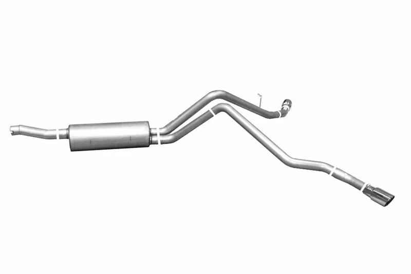 Gibson 99-02 Ford Expedition XLT 4.6L 2.5in Cat-Back-Doppel-Extreme-Auspuff - Edelstahl