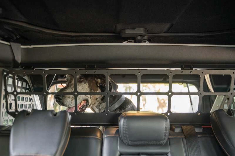DV8 Offroad 2021-2024 Ford Bronco Dog Barrier