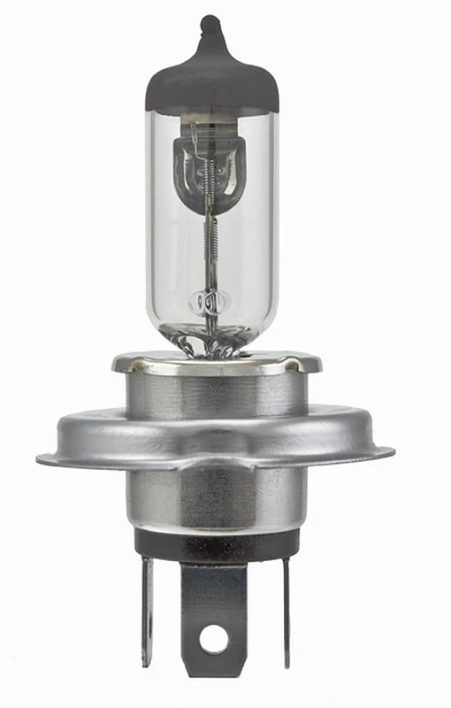 Hella Glühbirne 9003/Hb2 12V 60/55W P43T T46 Sb