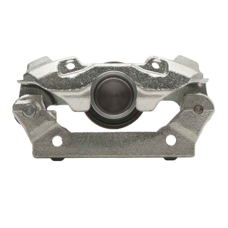 DFC 06-13 Lexus IS250 Rear-R Premium Caliper - Silver Zinc Coated