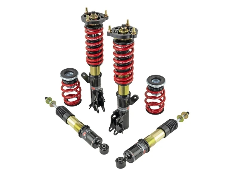 Skunk2 12-13 Honda Civic Si Pro ST Federbeine