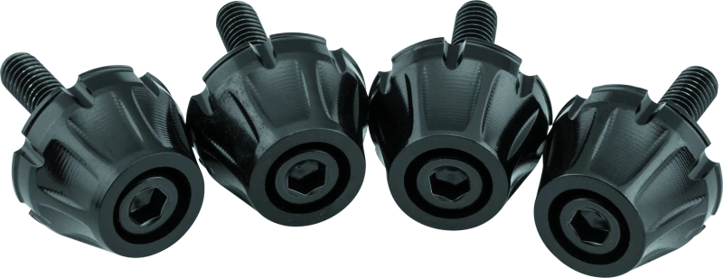 Kuryakyn Windshield Screws FLTR Black