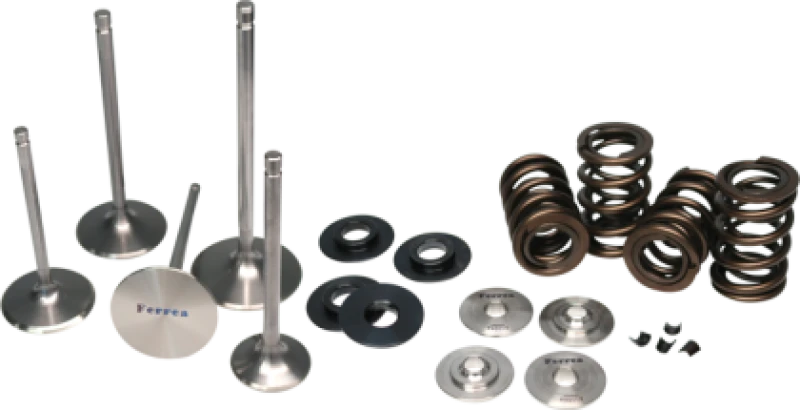 Ferrea Dual Valve Spring Kit für Yamaha 700R Grizzly/Raptor/Rhino