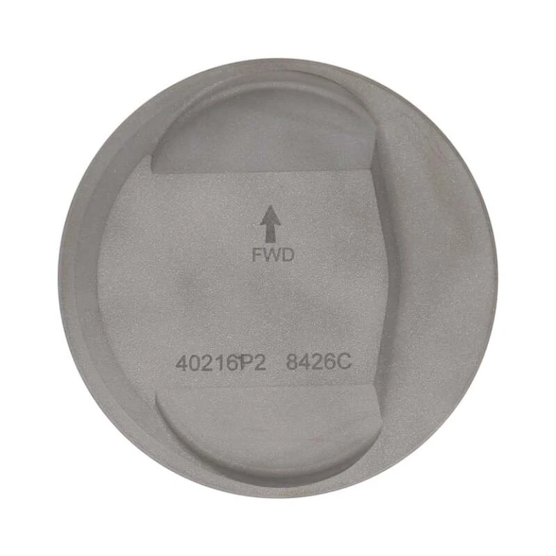 Wiseco Tracker Series 1340 Evo Domed 101 CR Piston Kit