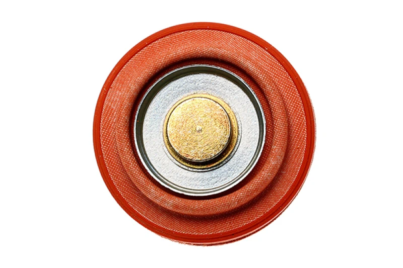 Radium Engineering Ersatz-Diaphragma für Kraftstoffpuls-Dämpfer