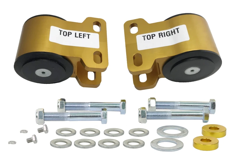 Whiteline 08+ Ford Focus / 04-09 Mazda 3 Vorderer Anti-Lift/Caster - C/A Lower Inner Hinterer Buchsen