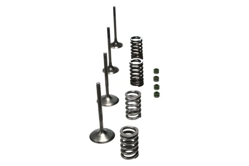 Wiseco 02-06 CRF450R Steel Valve Set