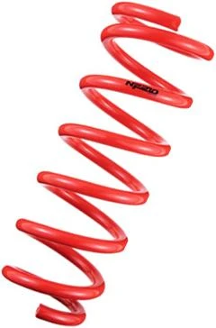 Tanabe NF210 Lowering Springs for 2011-2013 Lexus CT200h