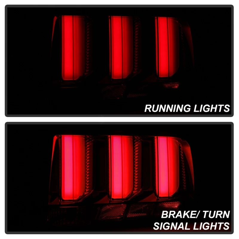 spyder_5086716-6794c538ad006