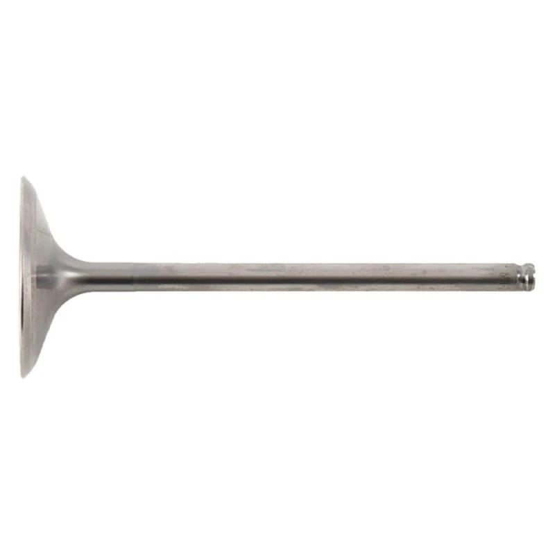 Hot Cams Titanium Intake Valve