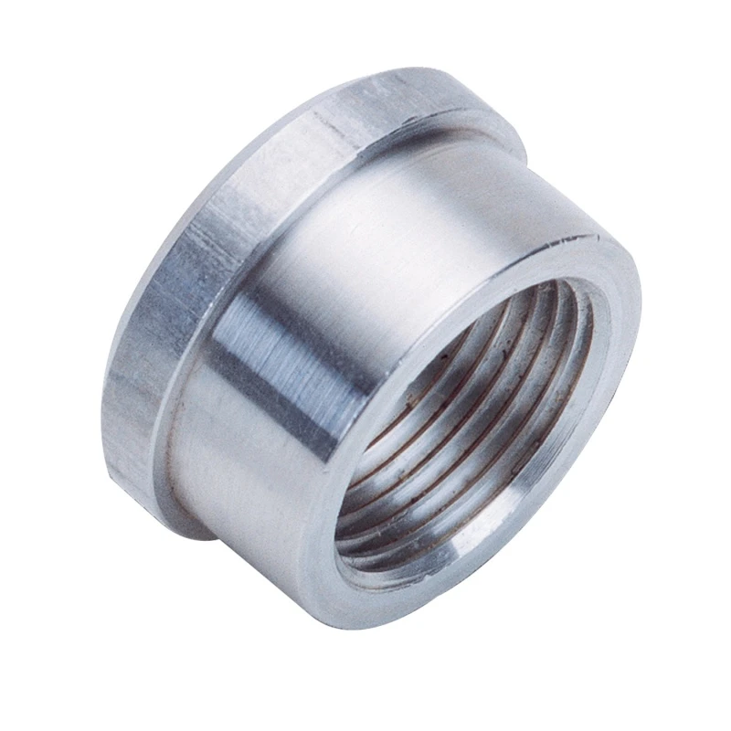 Russell Performance 1/2 Zoll weibliche NPT-Schweißbüchse (1/2 Zoll -14 NPT)
